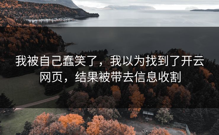 我被自己蠢笑了,我以为找到了开云网页,结果被带去信息收割 我被自己蠢笑了,我以为找到了开云网页,结果被带去信息收割